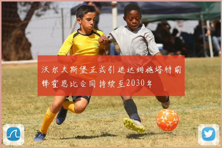 沃尔夫斯堡正式引进达姆施塔特前锋霍恩比合同持续至2030年